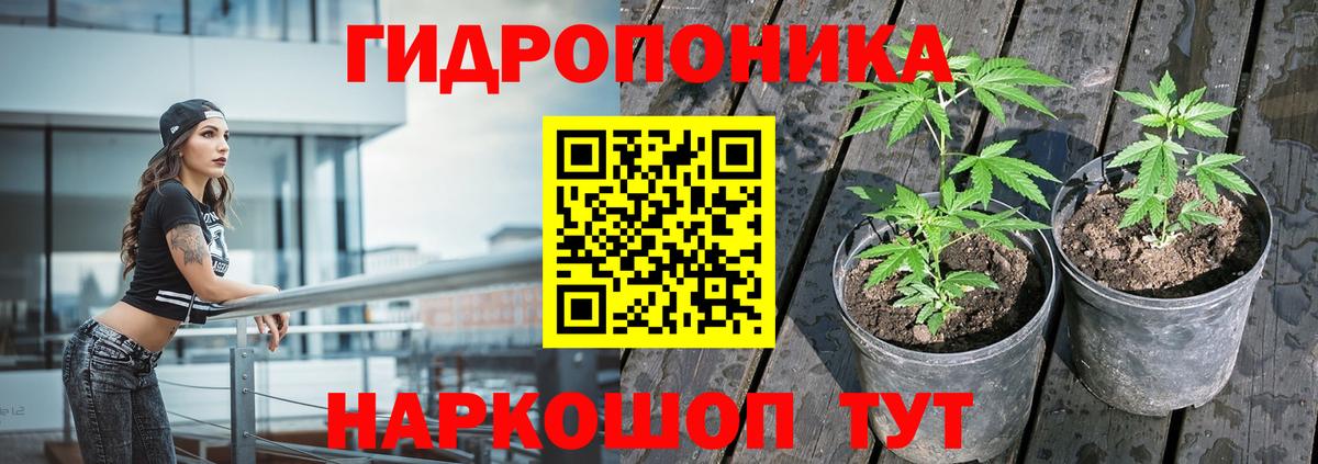 Шишки марихуана конопля  Канабис марихуана  Вход с VPN  Пугачёв  Бошки Шишки OG Kush 